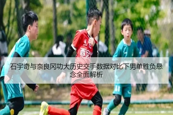 石宇奇与奈良冈功大历史交手数据对比下男单胜负悬念全面解析